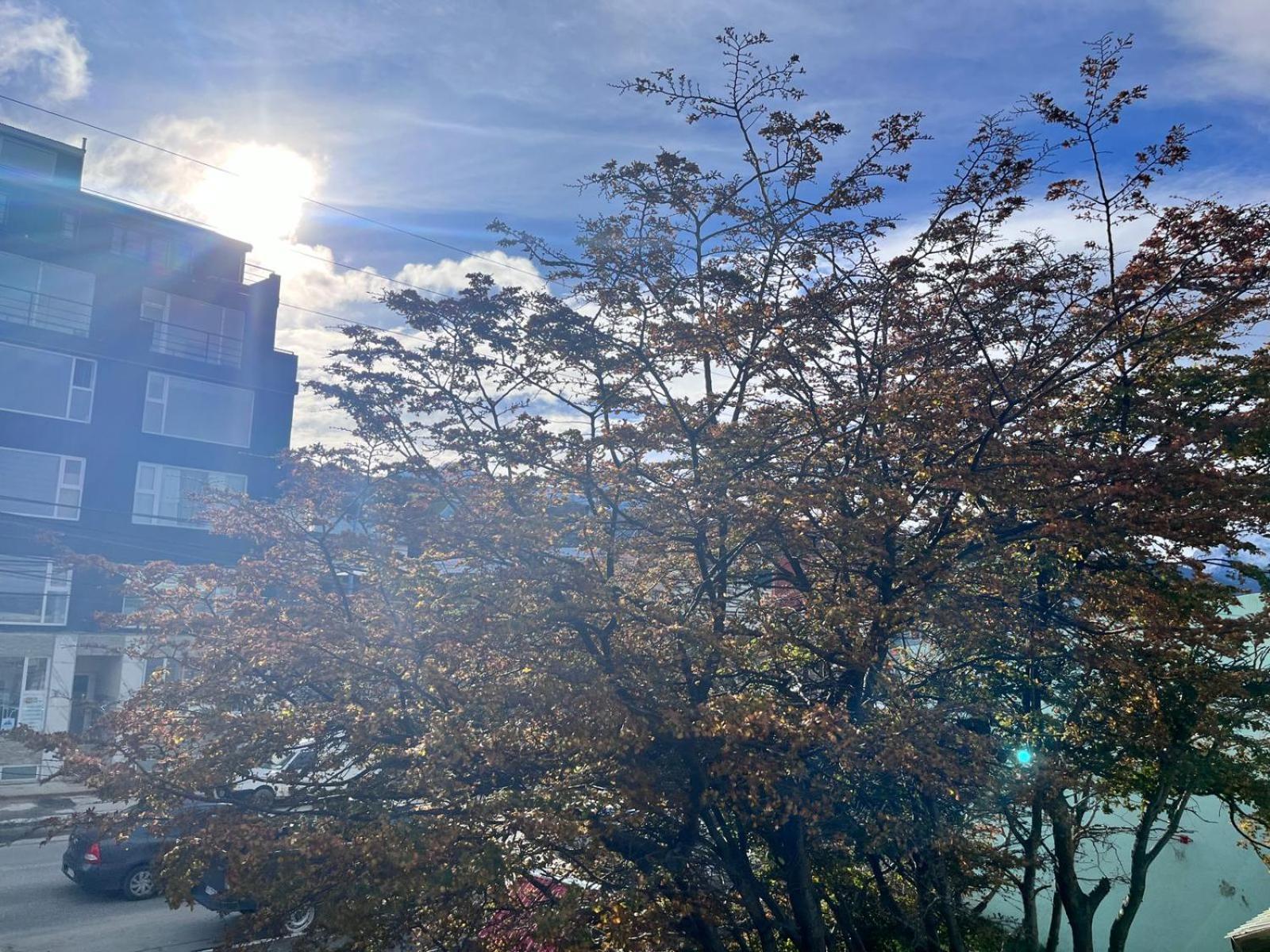 Victoria Plaza Apartman Ushuaia Kültér fotó